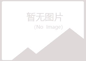 甘泉县冰夏零售有限公司